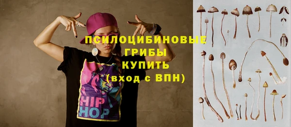 молекула духа Баксан