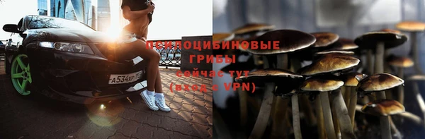 молекула духа Баксан
