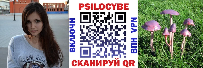 Галлюциногенные грибы мухоморы Юрьев-Польский